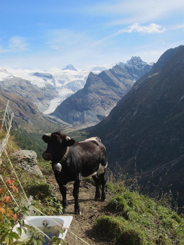 20121003_151530_Val_dHerens 023.JPG